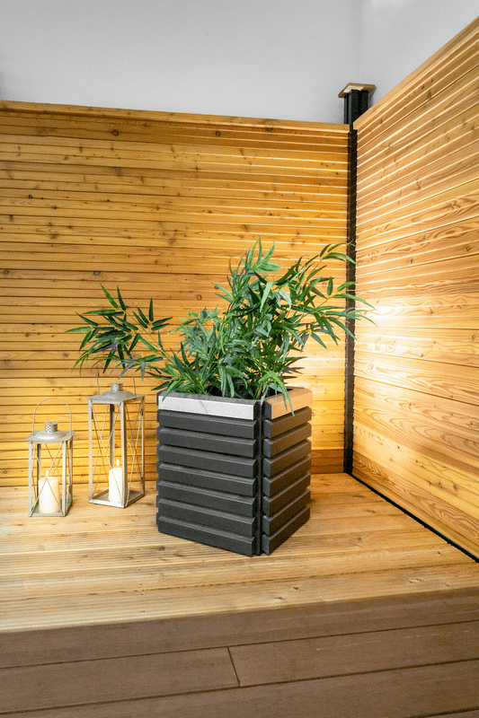 Sichtschutzzäune auf einer Terrasse mit einer Pflanze