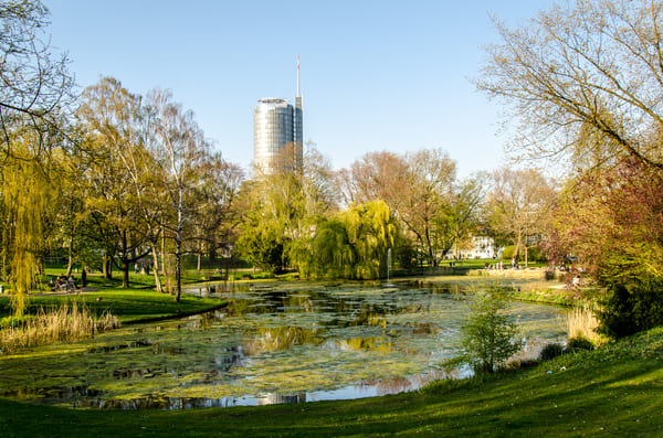 Ein idyllischer Blick in einen begrünten Park mit Teich in der Mitte, genauso natürlich, wie der Echtholzboden Parkett rundum Essen