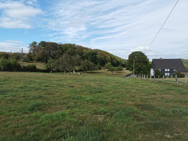 Die Stadt Sprockhövel liegt im Grünen mit viel Natur
